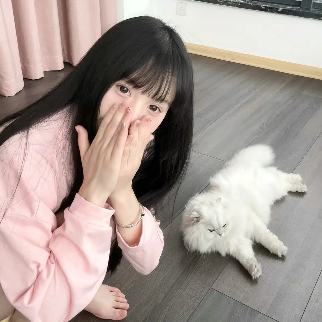 摄影师贝尔蒂与海豚零距离