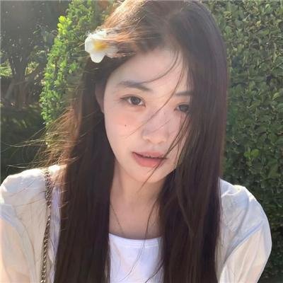 菊石